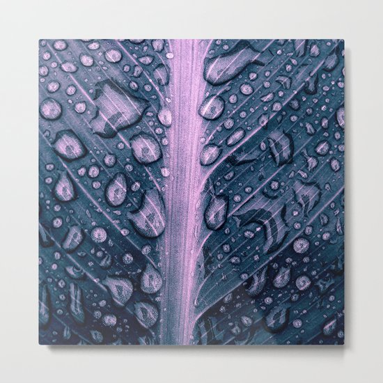 water drops XXII Metal Print