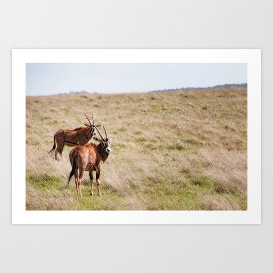 Wide open spaces Art Print