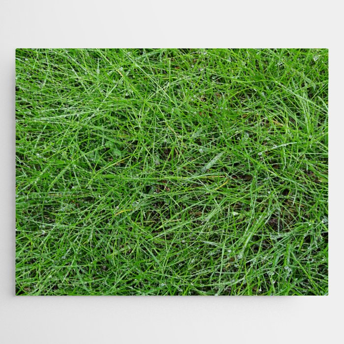 Grass, green plant, nature realistic grass Jigsaw Puzzle