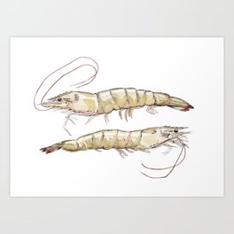 Seeing Double Shrimp Art Print