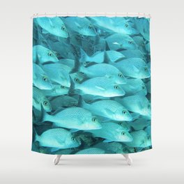 Colorful tropical fish and coral reef in the ocean. Scuba diving and marine life background. Shower Curtain