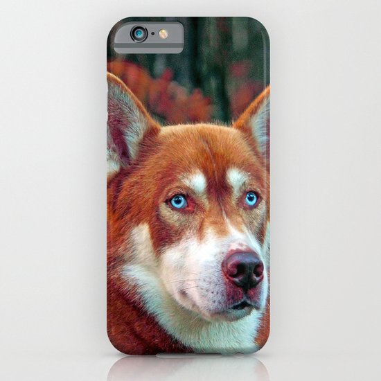 ginger iPhone & iPod Case