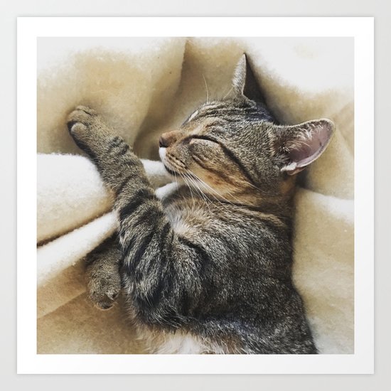 It's A Cat's Life Art Print