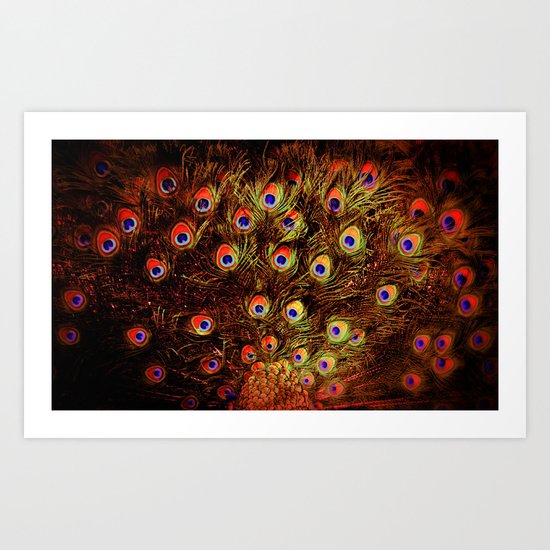fiery feathers Art Print