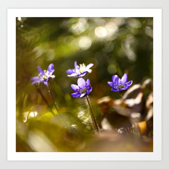 Beautiful Surprise In Spring Forest Art Print