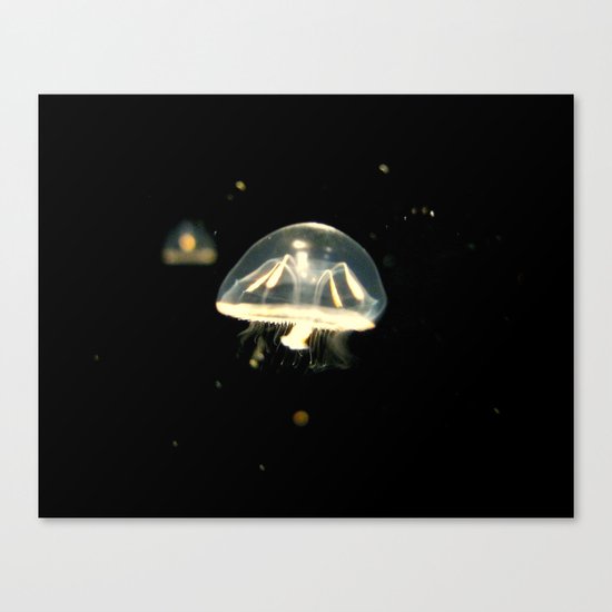 Float On Canvas Print