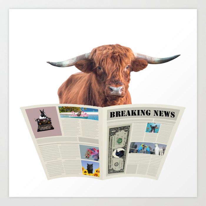 Highland Cow Newspaper Breaking News - Journalist Art Print