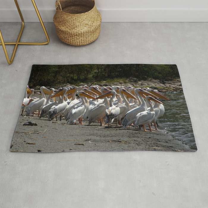 Group of White Pelicans Rug