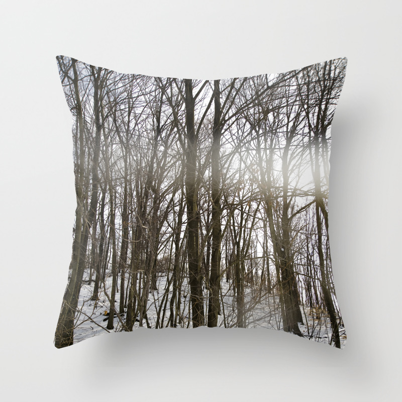 Winter Light Slippery Rock Pennsylvania Throw Pillow By