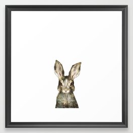 Little Rabbit Framed Art Print