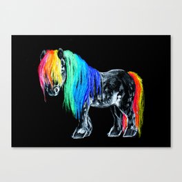 Rainbow Pony Canvas Print