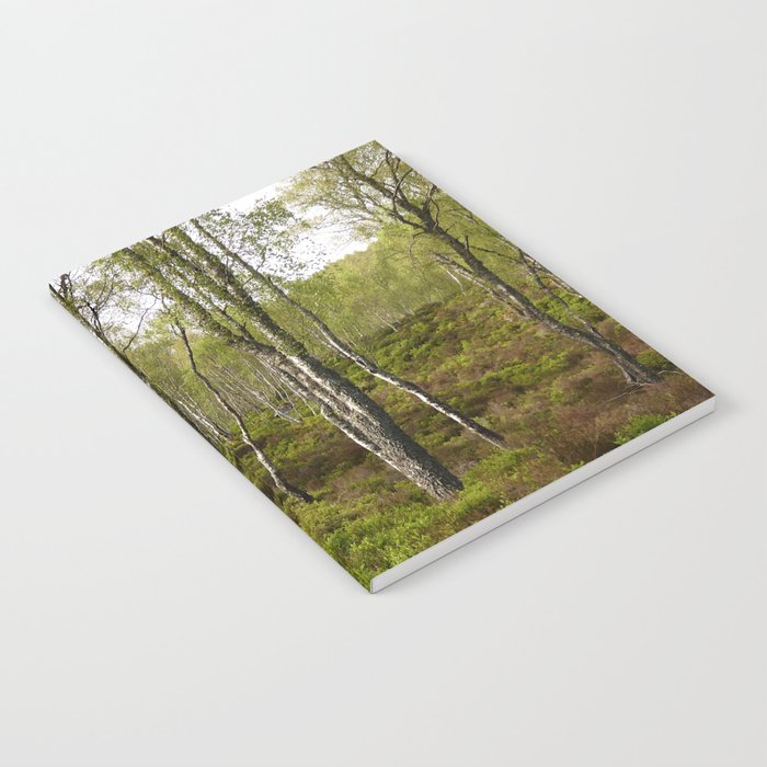 Song of the Scottish Highlands Birch Trees Notebook