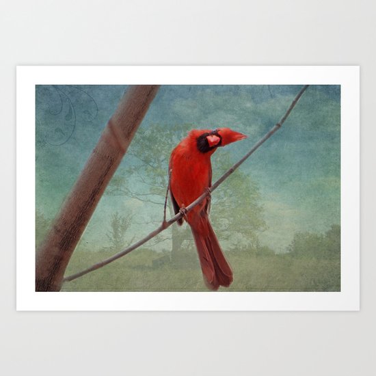 Whatcha Doing? Art Print