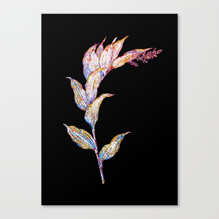 Floral Treacleberry Mosaic on Black Canvas Print