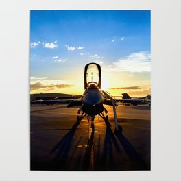Viper at Sunset Poster
