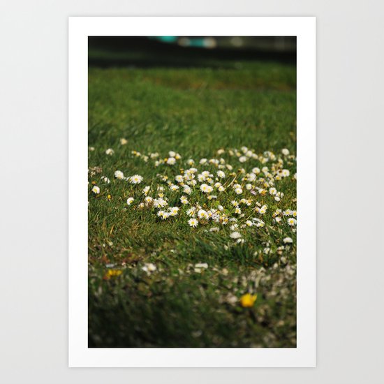 Dasies Art Print