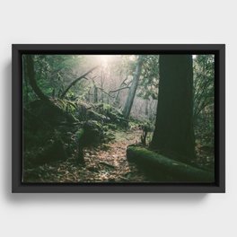 ORCAS ISLAND FOREST Framed Canvas