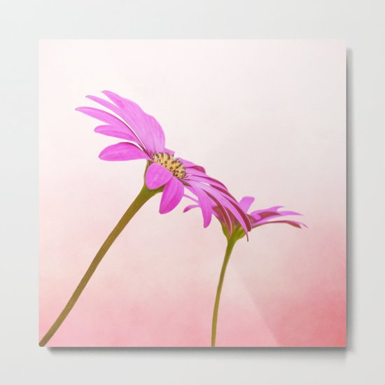Pretty in Pink Metal Print