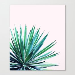 Agave Love #society6 #decor #buyart Canvas Print