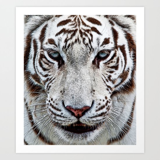 BLUE-EYED BOY Art Print