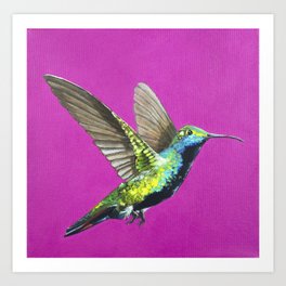 hummingbird in pink colorfield 2 Art Print
