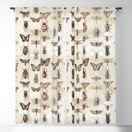 Antique Insects Blackout Curtain