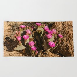 Pink Cactus Flowers Beach Towel