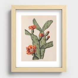 Botanical Cactus Recessed Framed Print