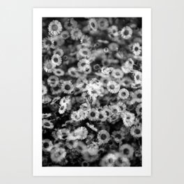 Daisies in double exposure Art Print | Black And White, Blackandwhite, Moody, Garden, Kids, Modern, Teen, Graphic, Flower, Landscape 