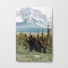 Black Bear Metal Print | Photo, Digital Manipulation, Forest, Rustic, Wanderlust, Calm, Peaceful, Mountain, Wilderness, Nature 