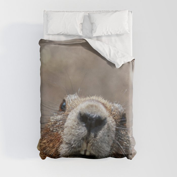 Marmot duvet deals