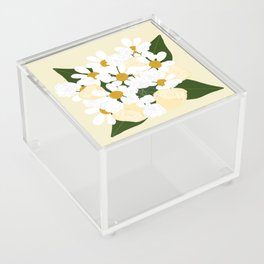 Daisies and Roses Acrylic Box