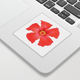 Tropical Hibiscus Flower Vector Sticker