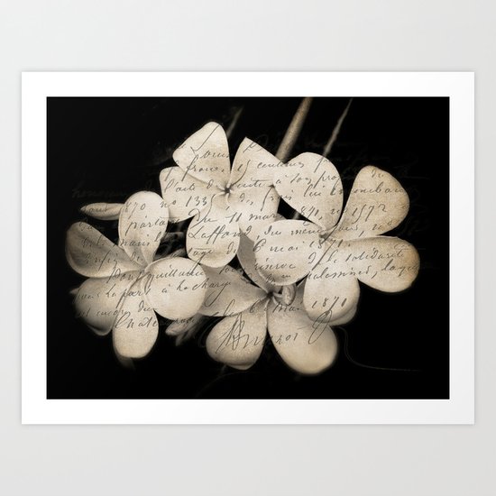 Letter from Paradise Art Print