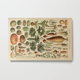 legume et plante potageres Metal Print | Nature, Illustration, Vintage, Pattern 