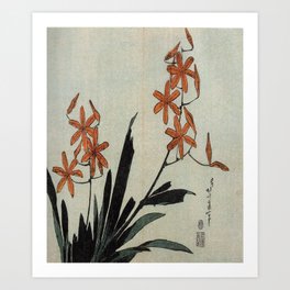 Hokusai, red orchid -manga, japan,hokusai,japanese,北斎,ミュージシャン Art Print