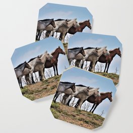 FIVE wild horses Coaster