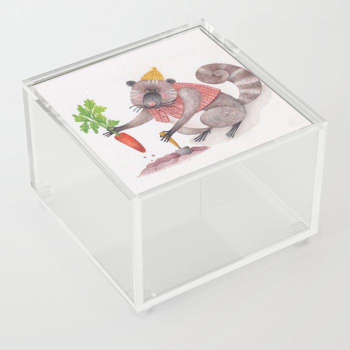 Animal character Acrylic Box