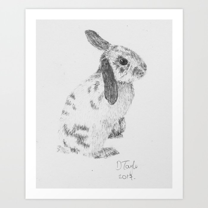Rabbit Pencil Drawing Art Print By Crumbledoodle Society6