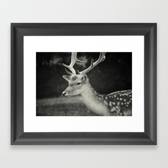 Still Framed Art Print