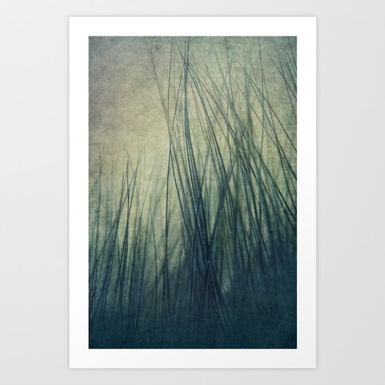 Feathered Art Print