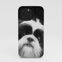 Shih Tzu Dog iPhone Case