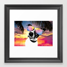 Crazy summer dog style Framed Art Print