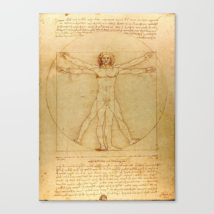 The Vitruvian Man 1405 (L Uomo Vitruviano) Leonardo da Vinci Artwork for Prints Posters Tshirts Men Canvas Print