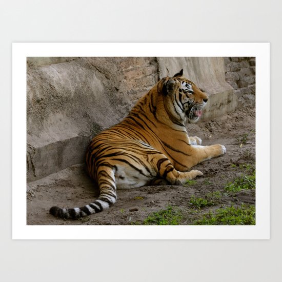 Yawn Art Print