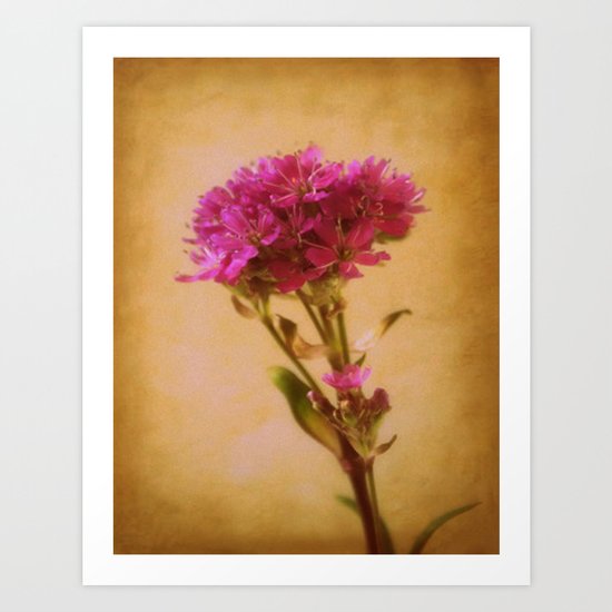 Purple Dream Art Print