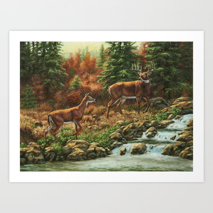 Whitetil Deer Doe & Buck by Waterfall Art Print