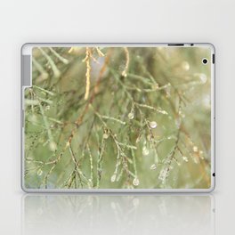 Nature's Beauty - Closeup photograph of a green pine tree - Travel & Botanical Photography Laptop Skin