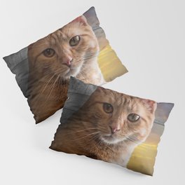 You looking at me, says the Cat Pillow Sham