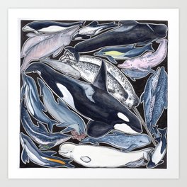 Dolphin, orca, beluga, narwhal & cie Art Print